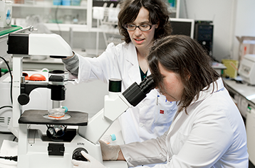 Laboratorio de Biotecnología Universidad Europea Madrid